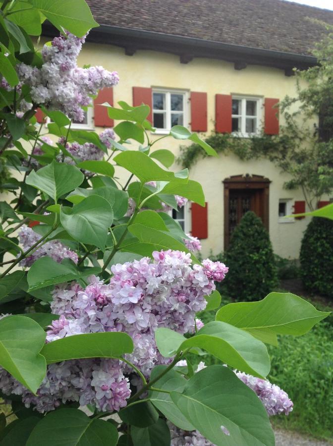 לינה וארוחת בוקר שונדורף אם אמרזי Haus Probst Am See מראה חיצוני תמונה